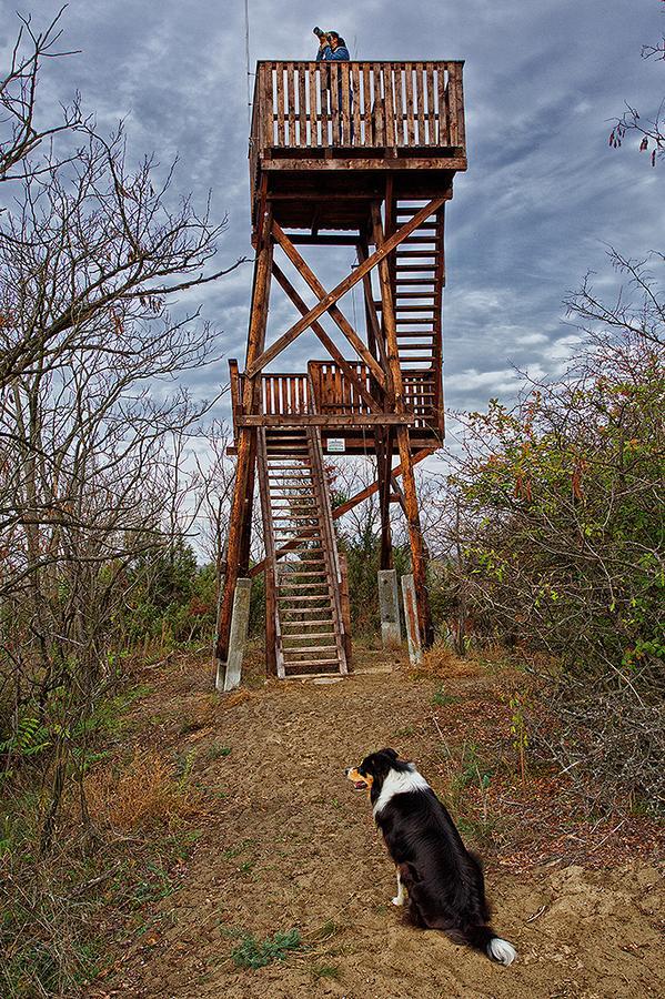 El Bronco Working Ranch Izsak Exterior photo