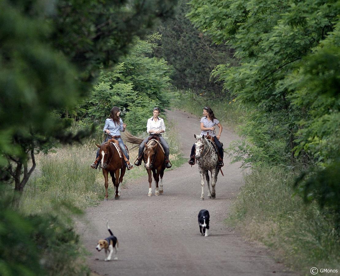 El Bronco Working Ranch Izsak Exterior photo